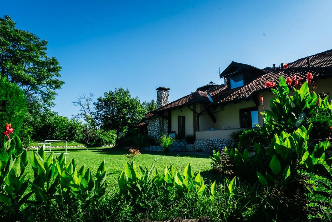 Atos Srebrno Jezero - Villa And Restaurant Veliko Gradište Екстериор снимка